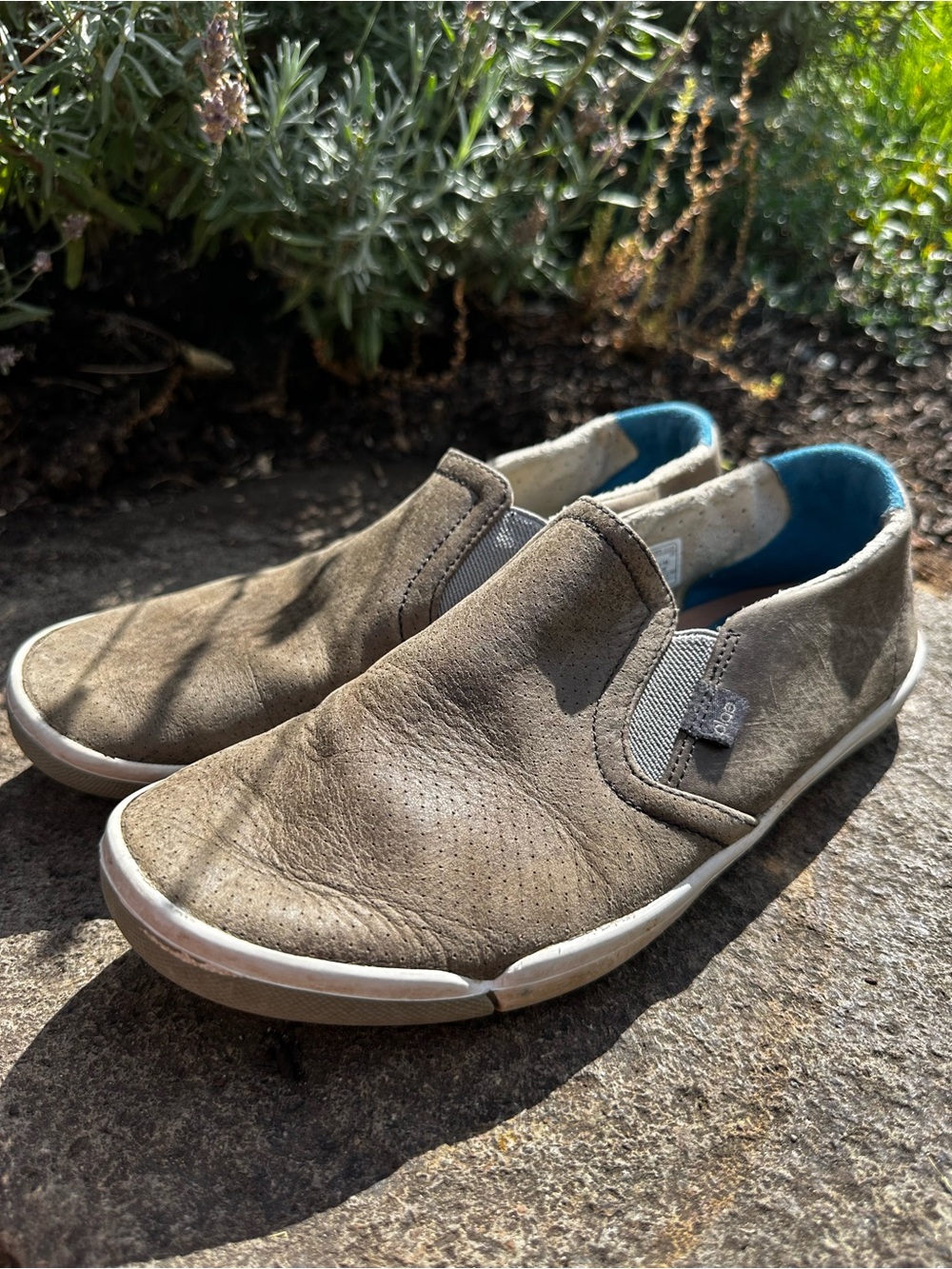 PLAE Men's Slip-On Loafers in Brown with Blue Lining